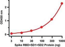 Novus Biologicals&trade;&nbsp;Recombinant SARS-CoV-2 Spike (RBD+SD1+SD2) His (C-Term) Protein
